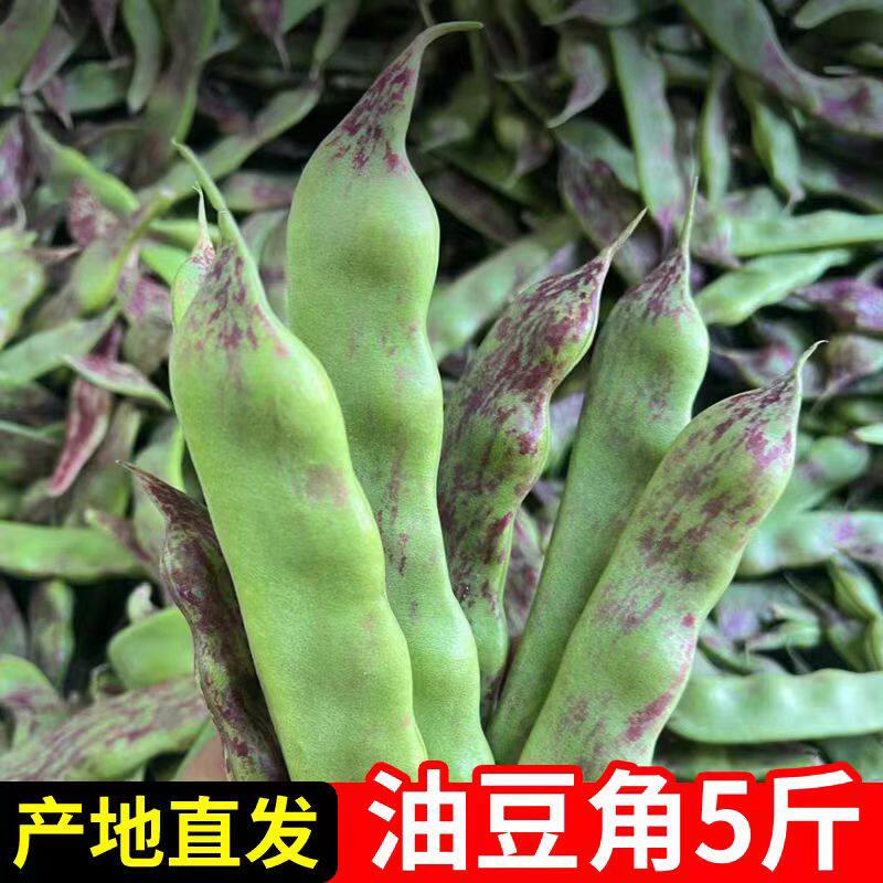 正宗东北油豆角新鲜蔬菜一点红