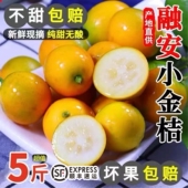 滑皮金桔 包邮 当季 小金橘 广西融安 顺丰 新鲜水果 纯甜无酸