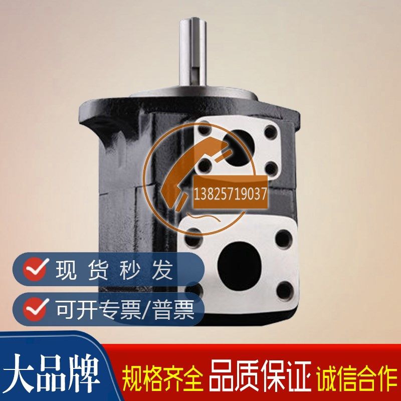 注塑机高压泵T6DR-01m7-2R00-B22-A农业机械油泵T6CM--B10-3R01-C