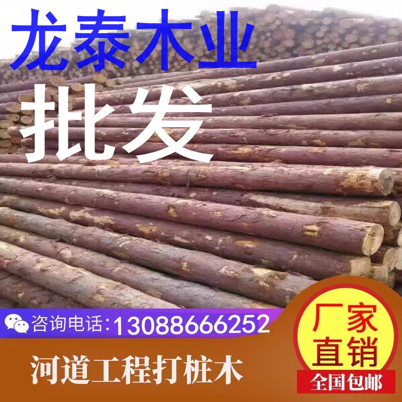 温州松木桩打桩木户外河道工程原木 落叶松防汛木桩 驳岸杉木桩