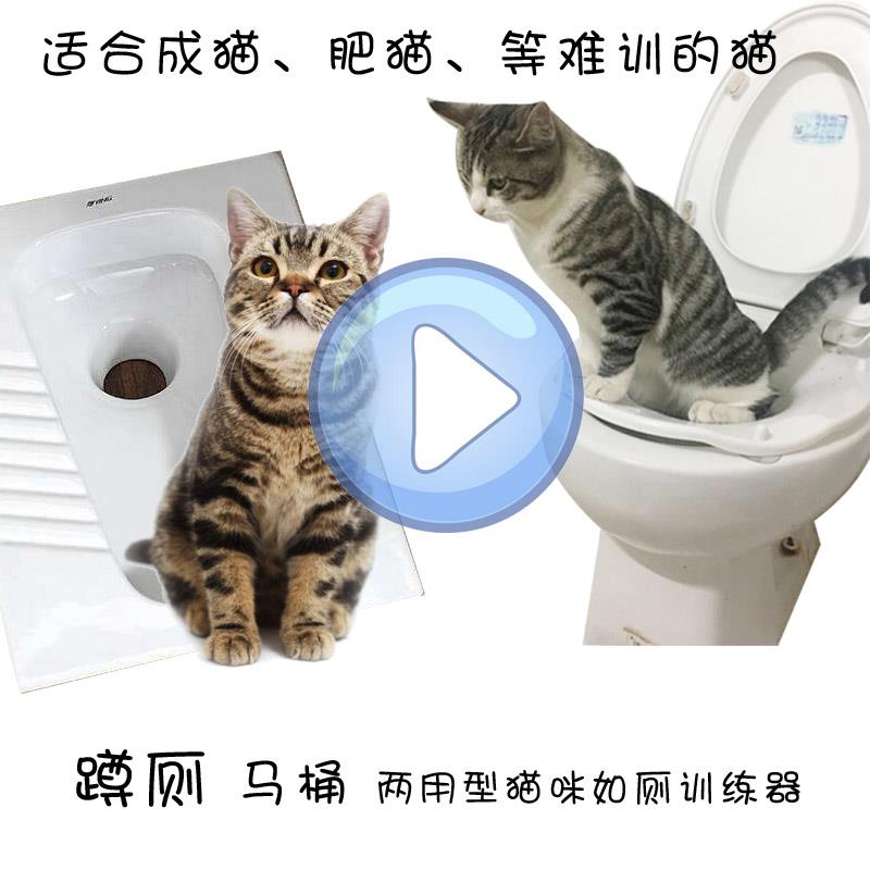 包邮 猫猫咪 加厚 蹲厕+马桶 猫咪如厕训练器 猫上厕所训练蹲坑