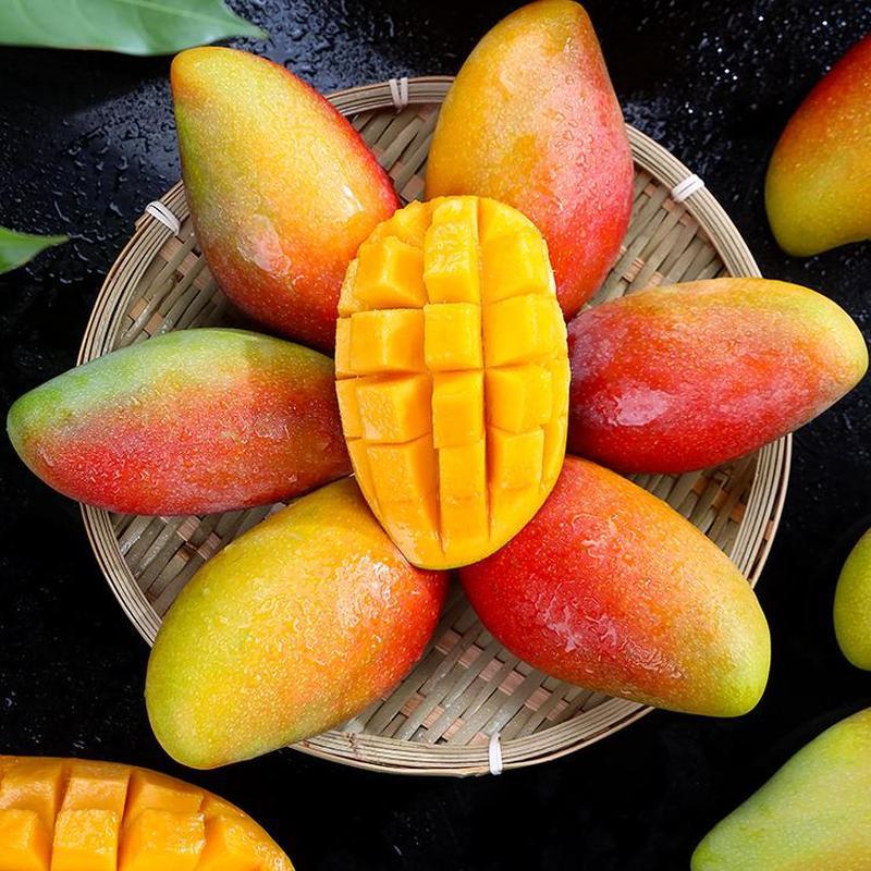 新货海南贵妃芒新鲜芒果9斤当季水果树上熟大红金玉青辣椒芒整箱