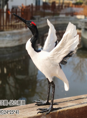 丹顶鹤摆件仿真模型展翅仙鹤模具白鹤白鹭丹顶鹤模型真羽毛工艺品