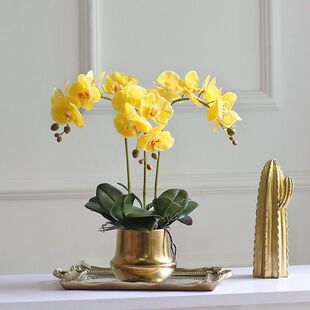d它方盆pu手感蝴蝶兰盆栽假花仿真花摆件客厅茶几的餐桌上花艺装
