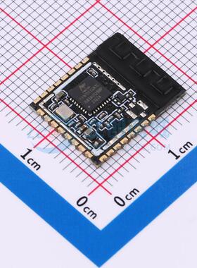 蓝牙模块 WT081083-B2 SMD,16.5x13mm 原装正品 电子元器件配单