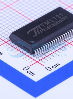 LCD驱动 TM1727 SSOP-48-300mil 原装正品 电子元器件配单