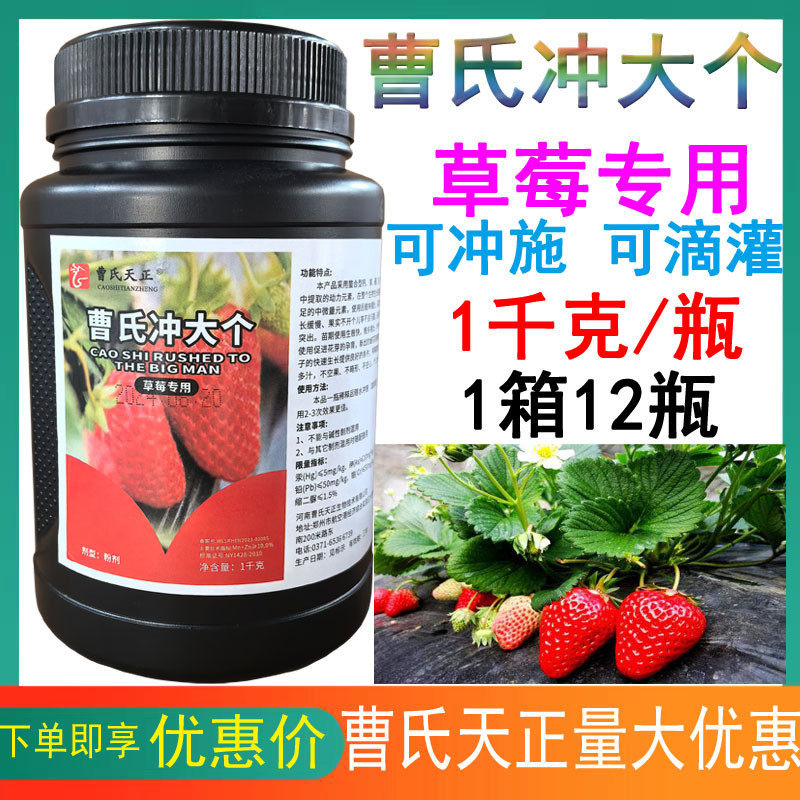 曹氏草莓大个草莓专用冲膨大专用膨大果实提高品质曹氏天正,鲜花速递/花卉仿真/绿植园艺,家庭园艺肥料,淘宝优惠券,粉丝福利购,淘宝优惠卷