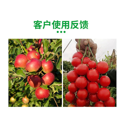 绿陇流体促糖醇硼液体硼花芽分化促花硼果微肥水溶肥硼肥果树植物