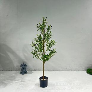 热卖真摄影拆装橄榄树仿真植物多风格落地盆栽木杆摆件