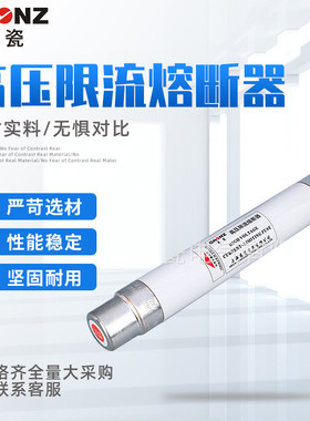 商家直销高压限流熔断器SDLAJ/XRNT-12KV/40A熔断器高压熔断器