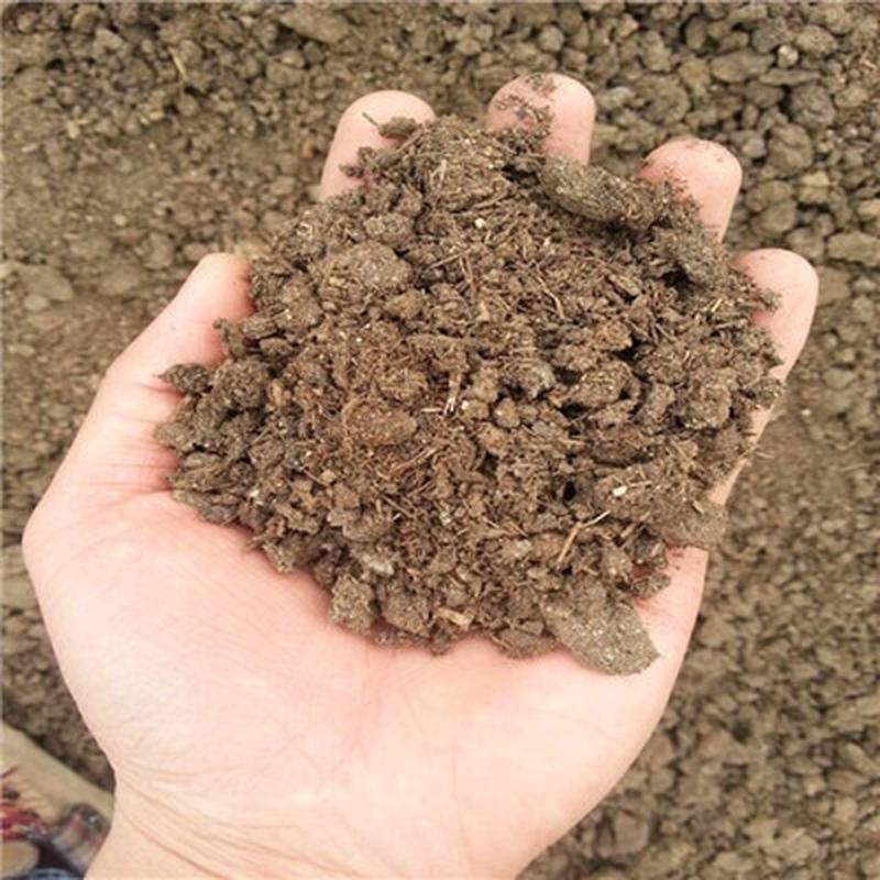 发酵牛粪干腐熟牛粪有机肥有机质含量高疏松透气改善土壤板结