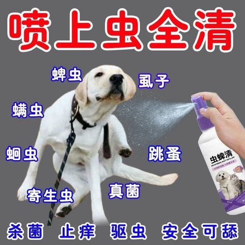 宠物体外跳蚤清狗狗驱虫喷雾去螨虫猫咪除跳蚤虱子厂家