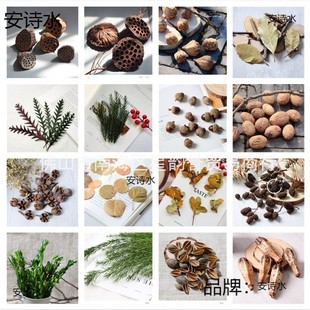 干花肉桂條檸檬片干花風(fēng)干松果混搭干花小清新花束香薰DIY材料