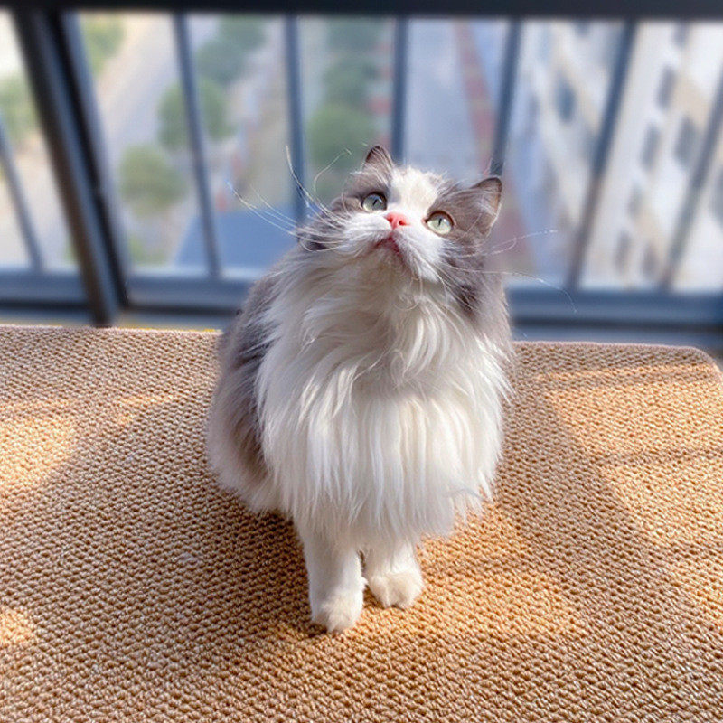 仿剑麻地毯日式客厅茶室沙发卧室床边榻榻米窗猫抓板仿黄麻地垫,宠物/宠物食品及用品,猫狗垫子,淘宝优惠券,粉丝福利购,淘宝优惠卷