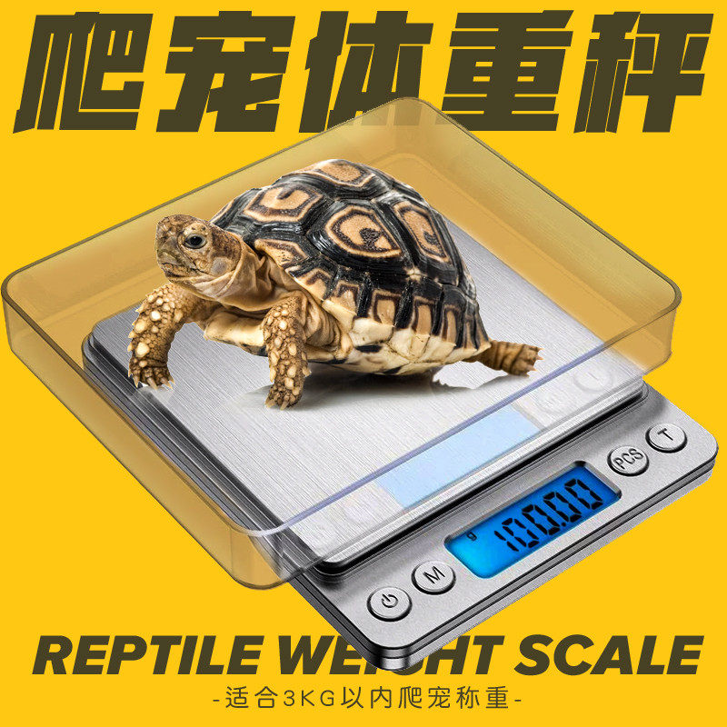 爬宠健康体重秤陆龟守宫蜥蜴计重秤球爬虫准确称重0.1g~3000g
