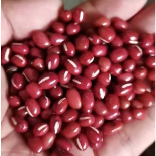 产地工厂东北红豆宝清红小豆精选小红豆真空480克五谷杂粮