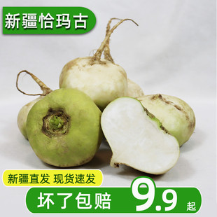 新疆恰玛古芜菁蔓青新鲜柯坪恰玛菇蔬菜恰麻古诸葛菜生吃凉拌包邮