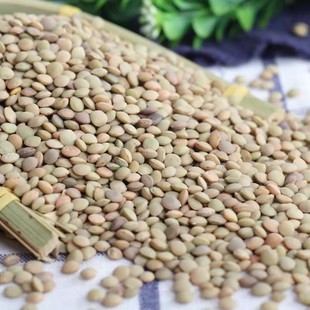 现货甘肃特产扁豆面粉扁豆面通渭小扁豆粉家用杂面豆面袋装