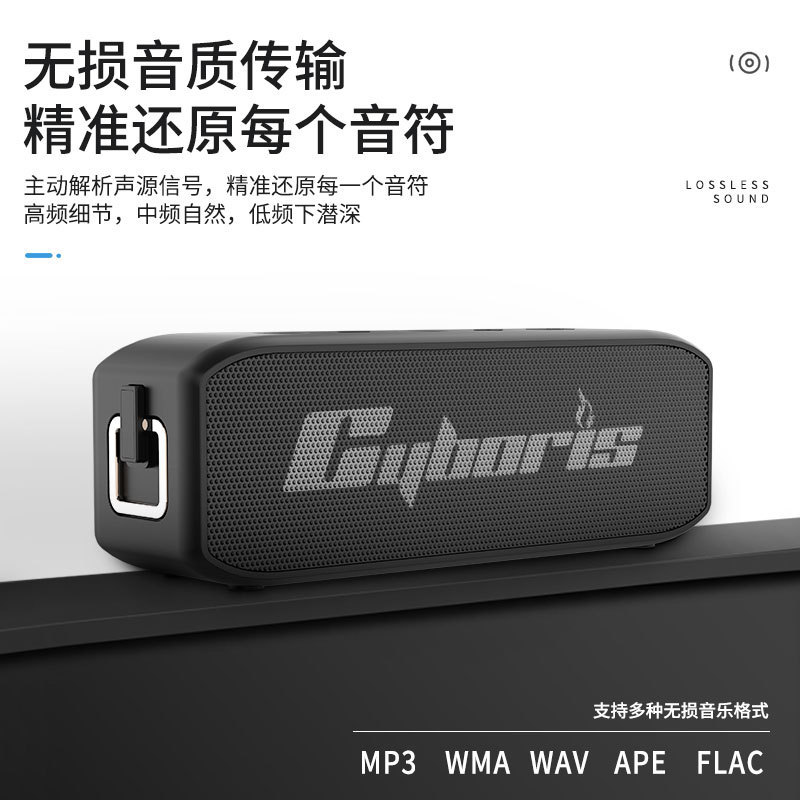 Cyboris跨境无线蓝牙音箱户外便携式防水插卡TWS爆款20W低音炮