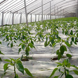 直角厂家方管批发热轧壁厚方管q345b方钢管工程机械用无缝大棚管