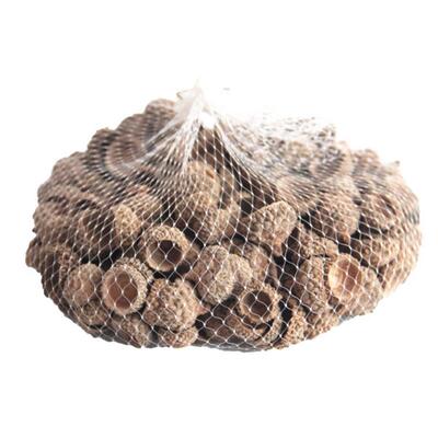 森系天然橡子橡果装饰手工挂件干花橡果壳圣诞布景幼儿园环创摆件