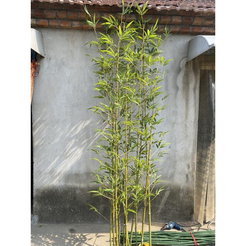 竹子挡墙假竹子隔断屏风室内装饰订婚宴席装饰竹盆栽加密绿植