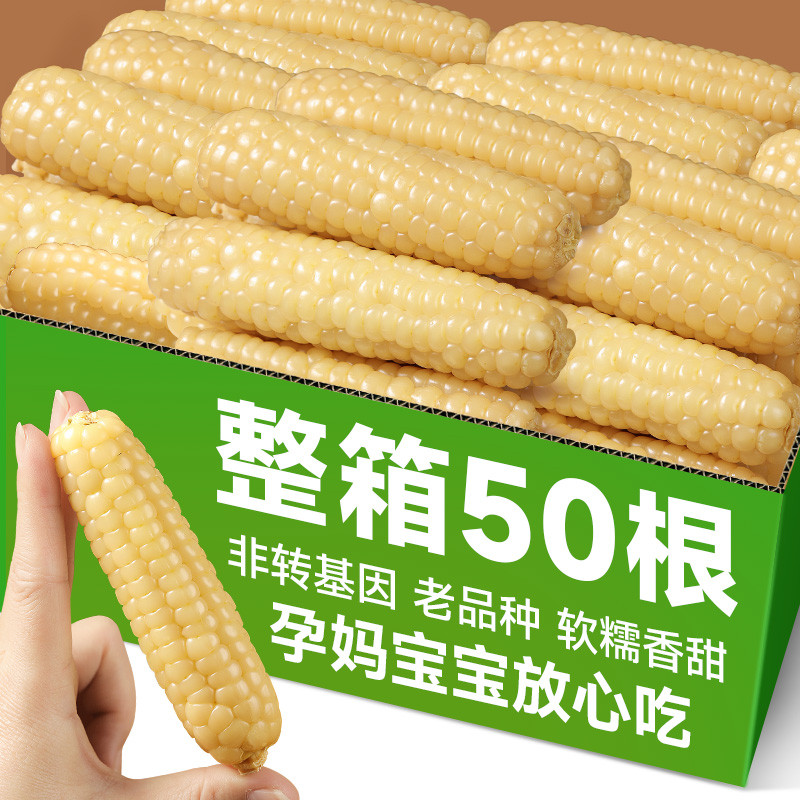 新货云南西双版纳拇指玉米即食早餐代餐新鲜傣家甜香糯迷你手指小