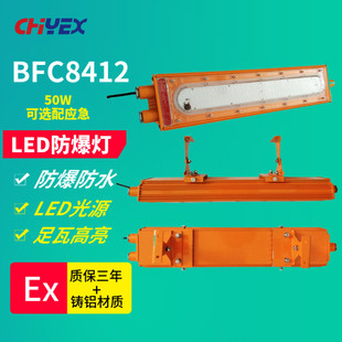 BFC8412LED防爆燈抱箍式 防爆燈 BFE8412LED防爆應急泛光燈吸頂式