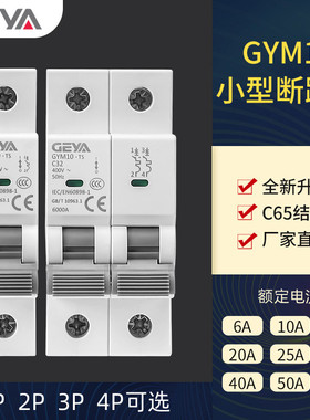 GEYA格亚C65空气开关2P 63A小型断路器6kA总闸25A家用40A GYM10