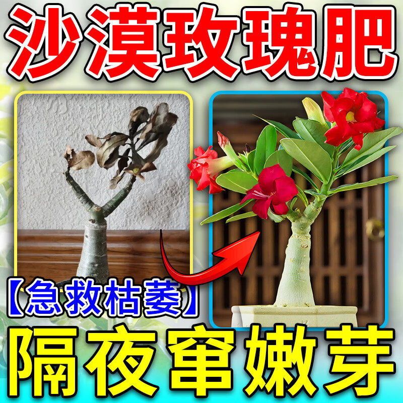沙漠玫瑰营养液老桩移盆疏松透气促开花防花掉叶黄病杀虫剂专用肥,鲜花速递/花卉仿真/绿植园艺,家庭园艺肥料,淘宝优惠券,粉丝福利购,淘宝优惠卷