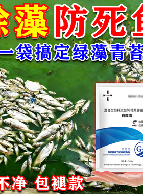鱼塘除藻剂池塘治绿水苔藻净河道景观水池清绿藻不伤鱼高浓缩粉剂