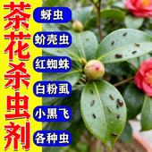 茶花杀虫剂菊酯类养花万能除虫药红蜘蛛蚧壳虫蚜虫一喷净专用杀虫