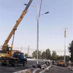 厂价led路灯 200Wled高杆路灯 10米海螺双臂路灯led路灯厂家