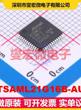 ATSAML21G16B-AUT TQFP-48(7x7) MCU/MPU/SOC微处理器控制器