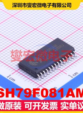 SH79F081AM SOP-28-300mil MCU/MPU/SOC微处理器控制器