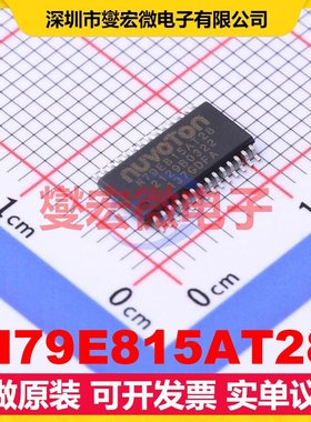 N79E815AT28 TSSOP-28 MCU/MPU/SOC微处理器控制器