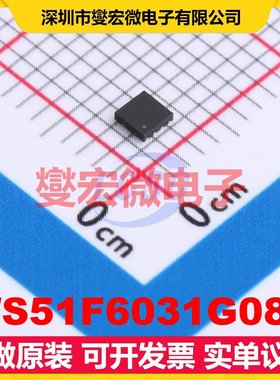 WS51F6031G08T DFN-8(2x2) MCU/MPU/SOC微处理器控制器
