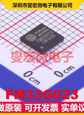 FM33G023 QFN-32-EP(5x5) MCU/MPU/SOC微处理器控制器