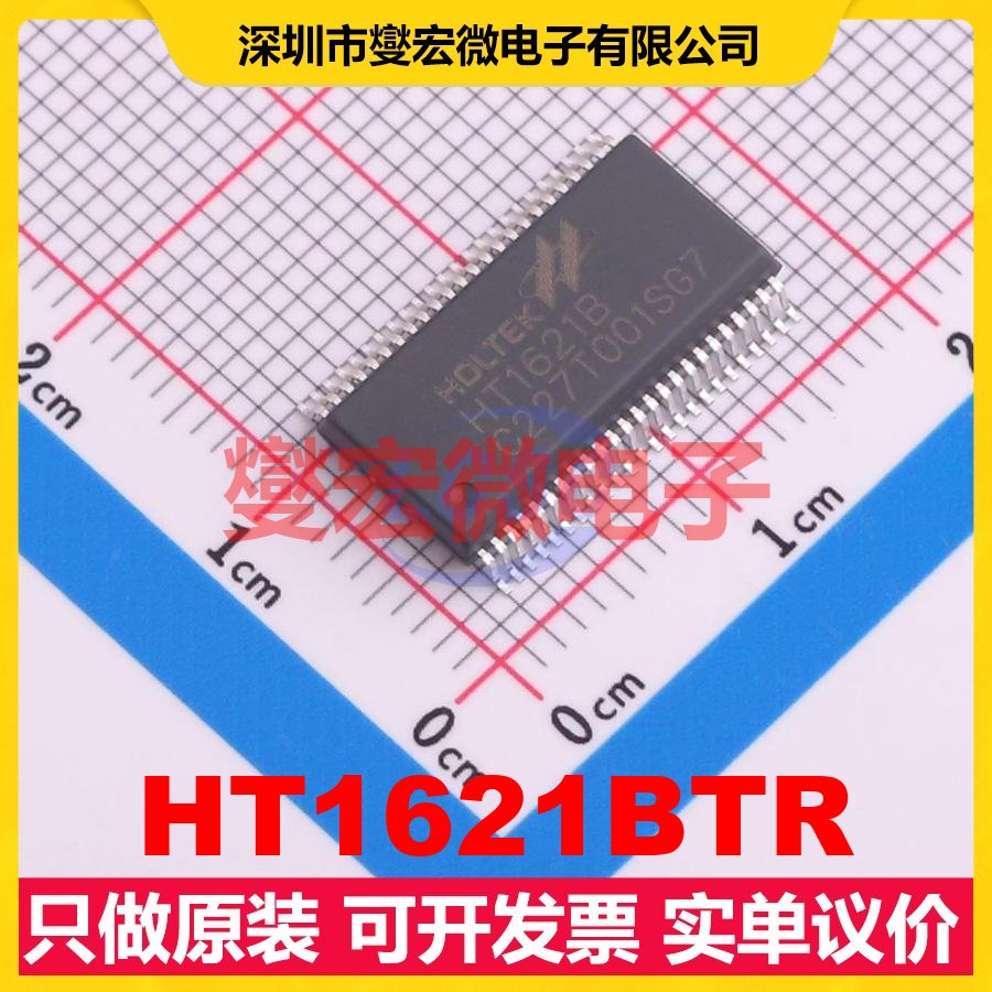 HT1621BTR SSOP-48 MCU/MPU/SOC微处理器控制器