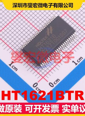 HT1621BTR SSOP-48 MCU/MPU/SOC微处理器控制器