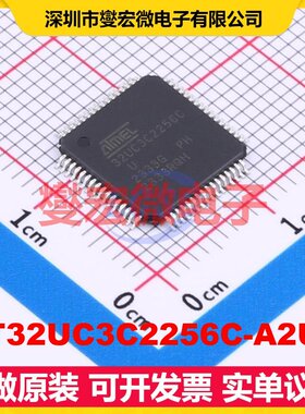 AT32UC3C2256C-A2UT TQFP-64(10x10) MCU/MPU/SOC微处理器控制