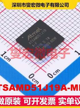ATSAMD51J19A-MFT QFN-64-EP(9x9) MCU/MPU/SOC微处理器控制器