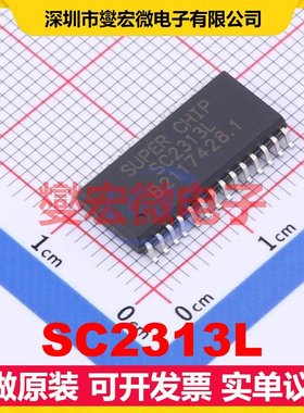 SC2313L SOP-28-300mil MCU/MPU/SOC微处理器控制器