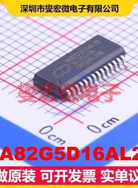 MA82G5D16AL28 SSOP-28-150mil MCU/MPU/SOC微处理器控制器