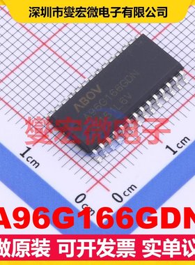 A96G166GDN SOP-28-300mil MCU/MPU/SOC微处理器控制器