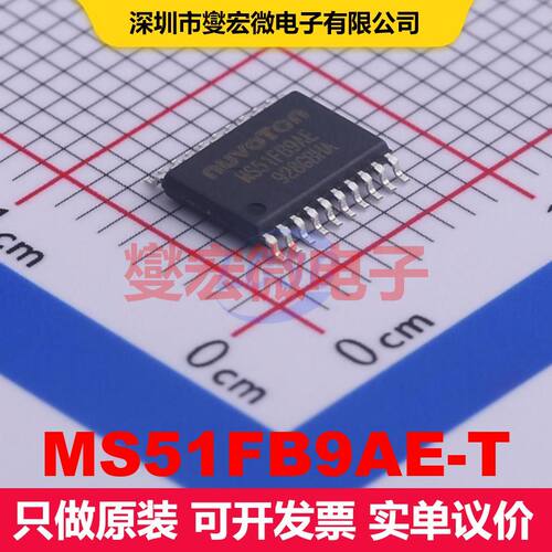 MS51FB9AE-T TSSOP-20 微控制器 嵌入式 集成芯片IC