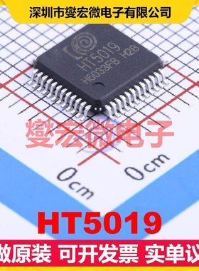 HT5019 LQFP-48(7x7) MCU/MPU/SOC微处理器控制器