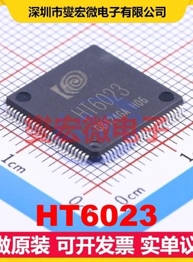 HT6023 LQFP-100(14x14) MCU/MPU/SOC微处理器控制器