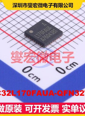 HC32L170FAUA-QFN32TR QFN-32-EP(4x4) MCU/MPU/SOC单片机处理