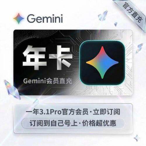 【Gemini3pro ！稳定不降智】Gemini pro3.1 3.0会员官网会员代充